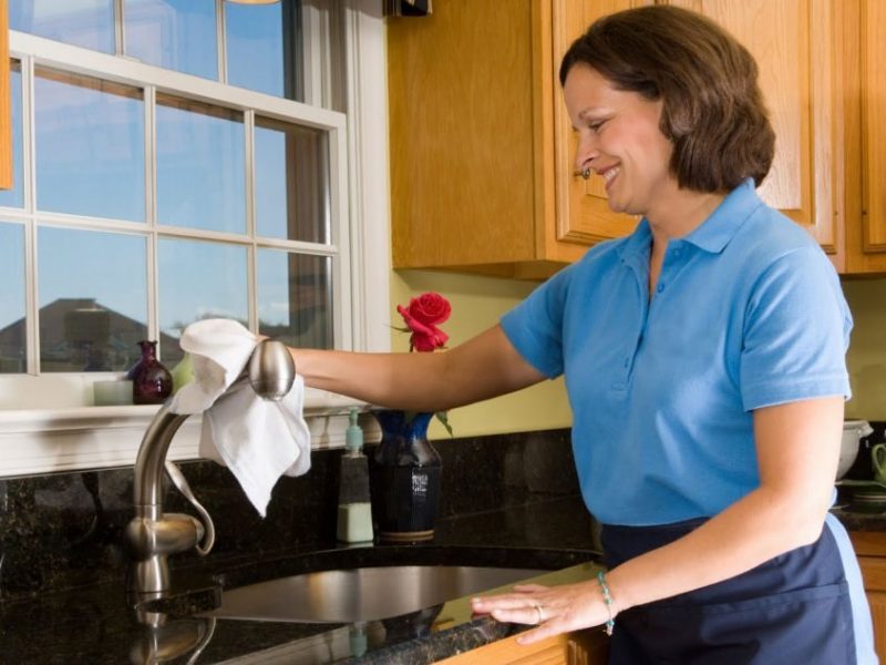 swrvicio domestico en donostia